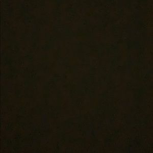 Meet your Posher, Sara grace